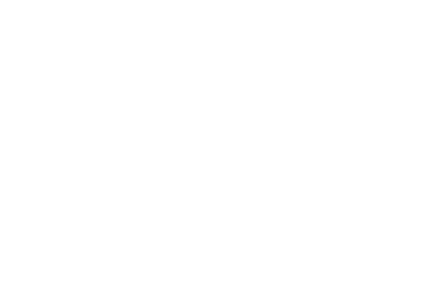 absolut_system_blanc